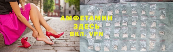 гашик Белокуриха