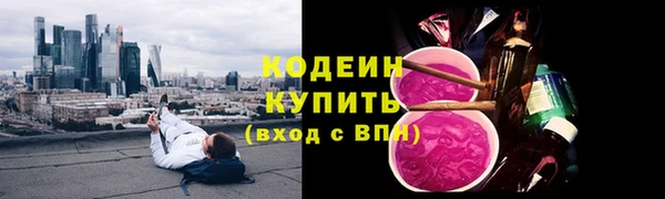 гашик Белокуриха