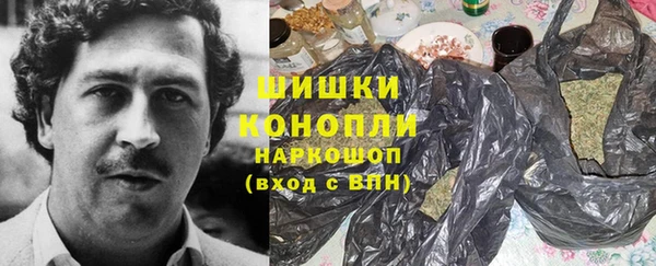 гашик Белокуриха