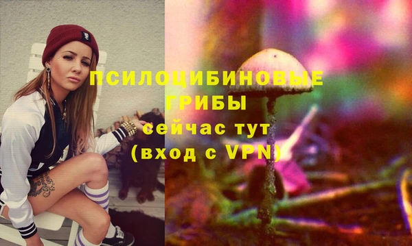 МДПВ Беломорск