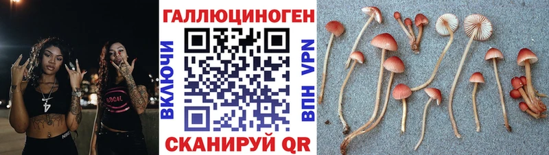 Галлюциногенные грибы GOLDEN TEACHER  где купить   Волжск 