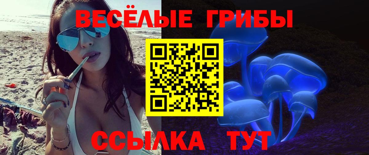 Волжск  Псилоцибиновые грибы Psilocybe  Вход с VPN 