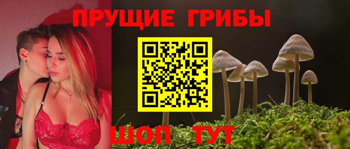 Псилоцибиновые грибы мицелий Волжск