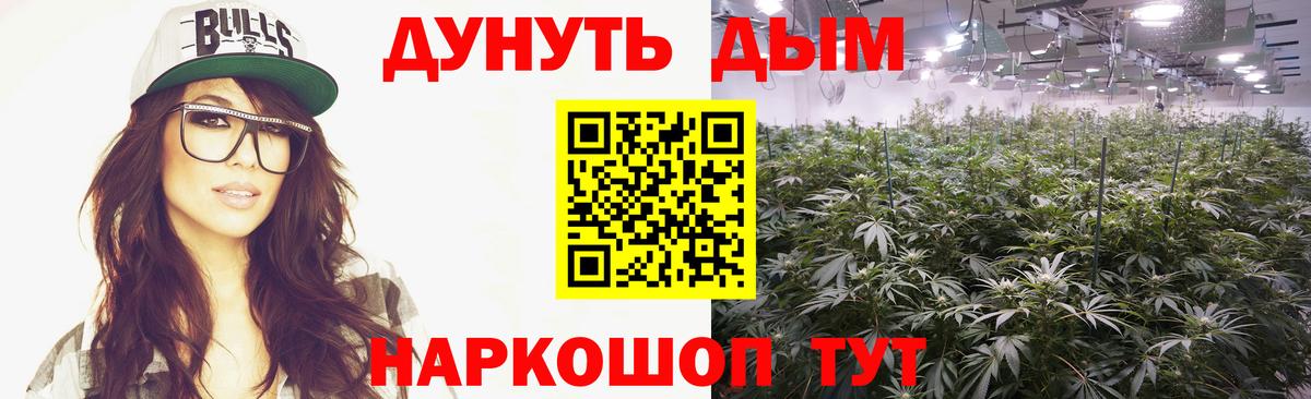 Волжск  Канабис сатива  Вход с VPN  Конопля AK-47  Бошки Шишки THC 21% 